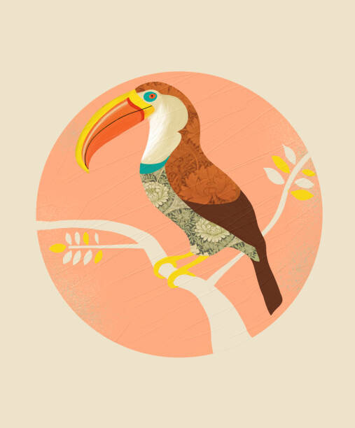 Plakat Boho Toucan