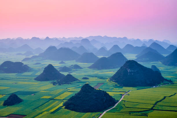 Plakat China, Yunnan, Luoping, Fields of rapeseed