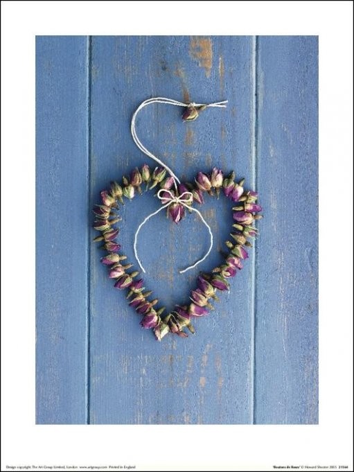Howard Shooter - Boutons De Roses Kunsttryk