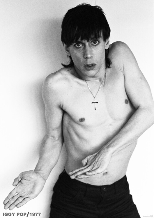 Plakat Iggy Pop - Studio Shot, London February 1977