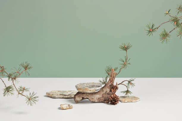 Plakat Organic showcase with gray and white