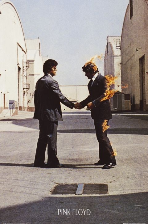Plakat PINK FLOYD - wish you were here