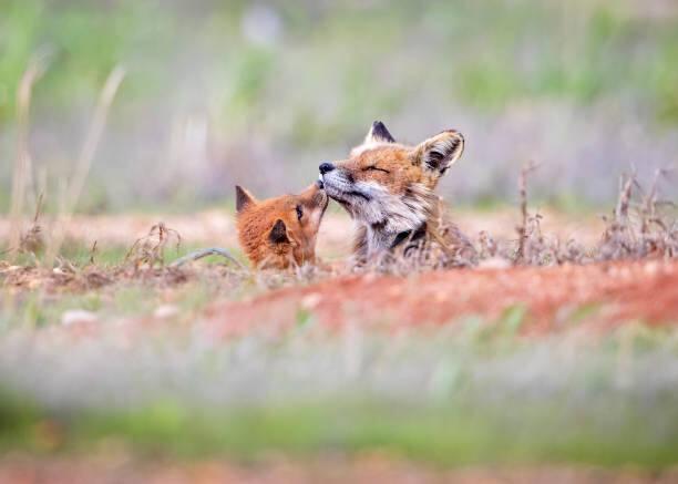 Plakat Tender Moment