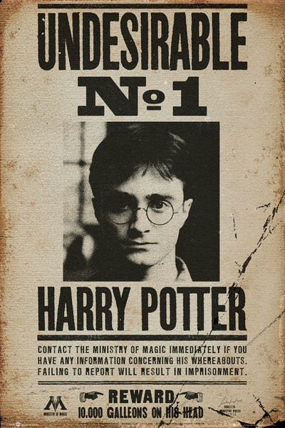 Poster HARRY POTTER - Undesirable n1
