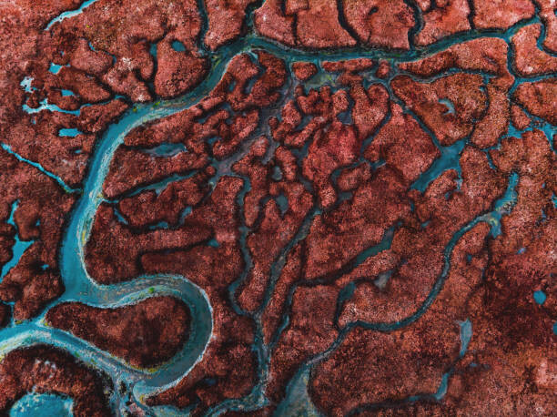 Plakát Beautiful pattern created by river delta