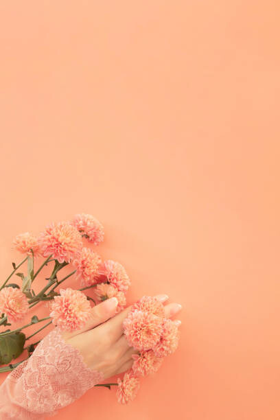 Plakát Creative beauty flat lay of gentle