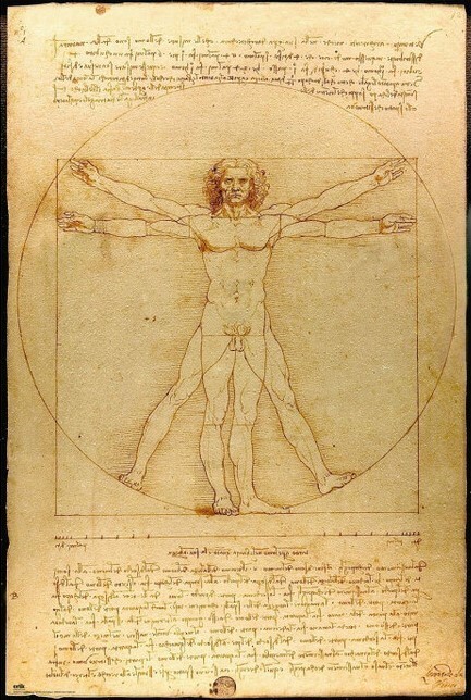 Plakát Leonardo Da Vinci - Vitruvian Man