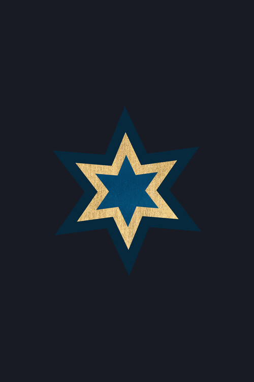 Plakát A Shooting Star At Night