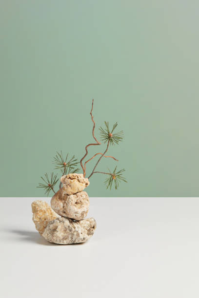 Plakát Abstract minimal nature still life composition