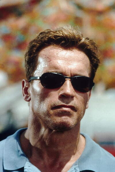 Plakát Arnold Schwarzenegger, Collateral Damage 2001