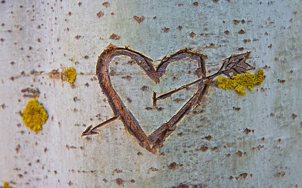 Plakát Birch tree with carved heart