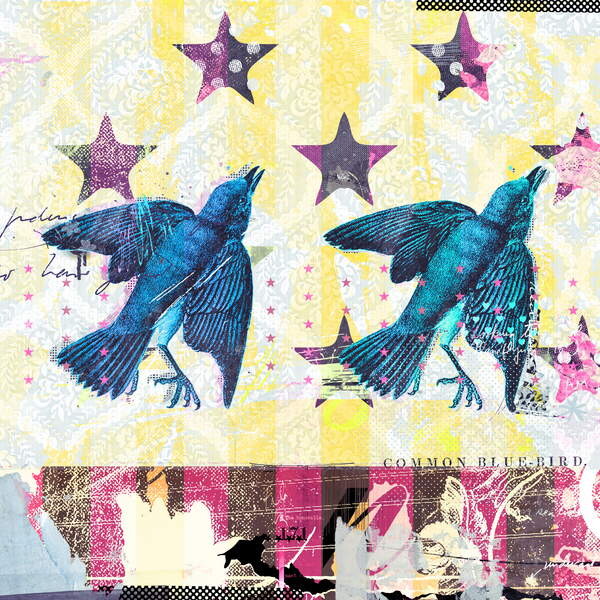 Plakát Birds in Serie, 2015