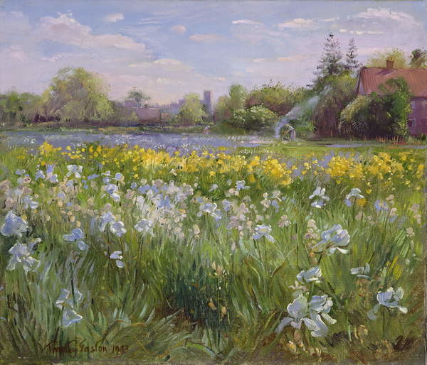 Plakát Bonfire and Iris Field, 1993