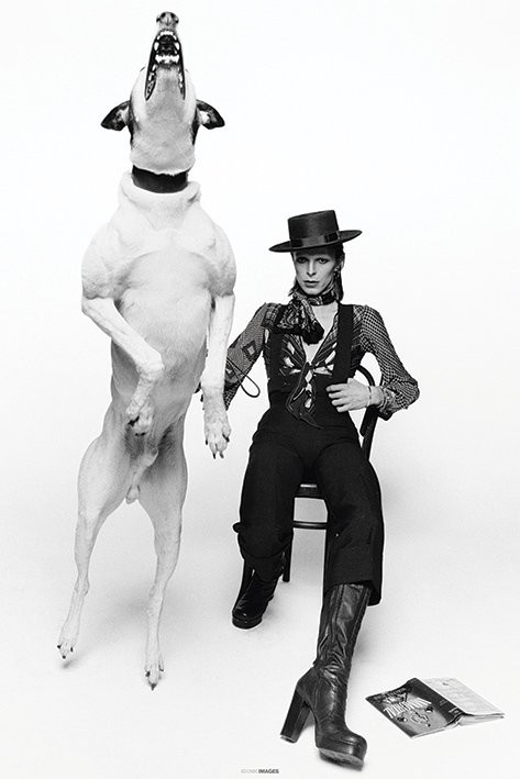 Plakat David Bowie - Diamond Dogs