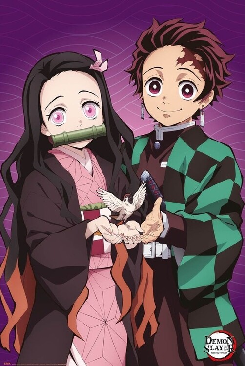 Plakát Demon Slayer - Tanjiro & Nezuko