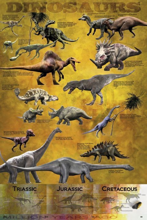 Plakat Dinosaurus - chart