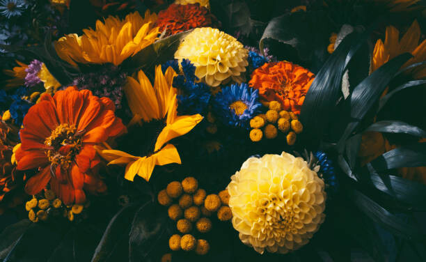 Plakát Dreamy magic autumn flowers.