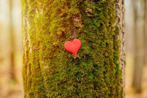 Plakát Environment protection symbol, copy space