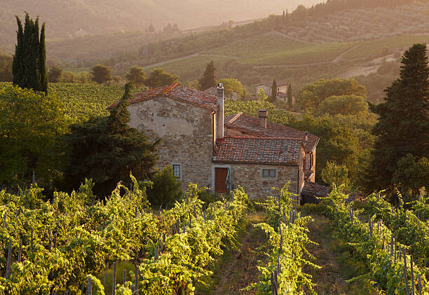 Plakát Farmhouse in vineyard at sunset