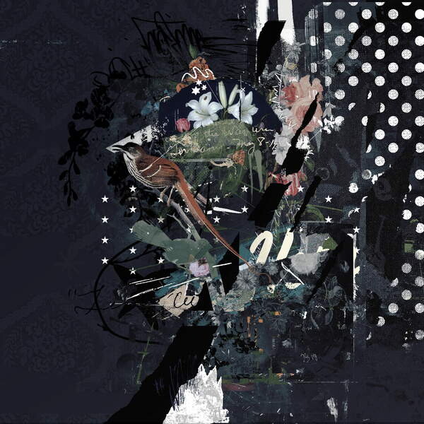 Plakát Floralbirds, 2017