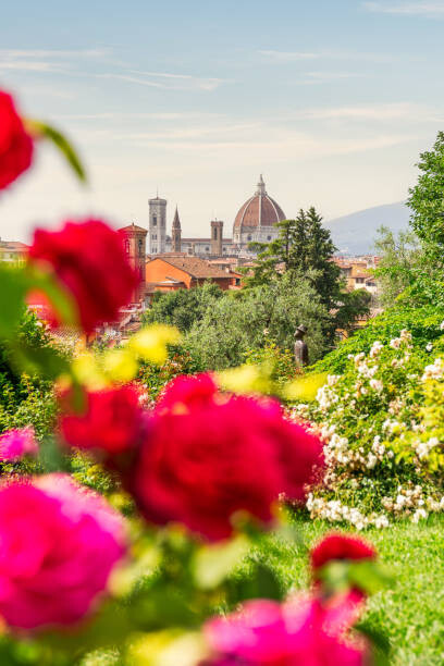 Plakát Florence, Tuscany, Italy. Roses and cityscape