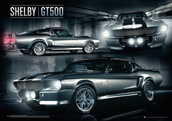 ford shelby 500