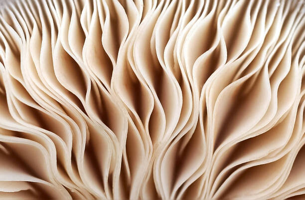 Plakát Full frame shot of abstract pattern