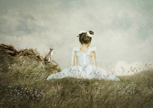 Plakát Girl and cat sitting in the field