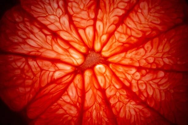 Plakát Grapefruit cure closeup