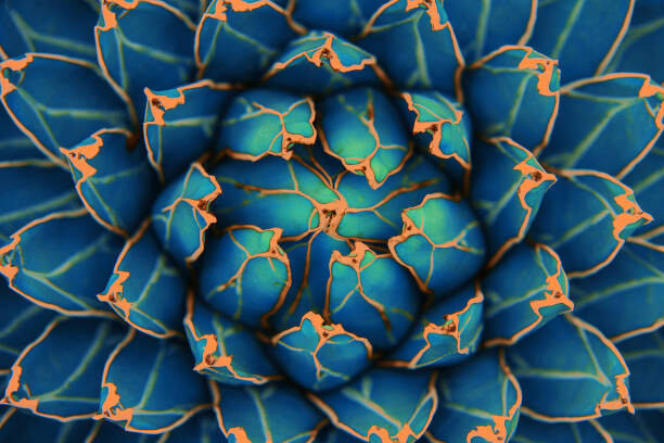 Plakát green leaves for background and wallpaper