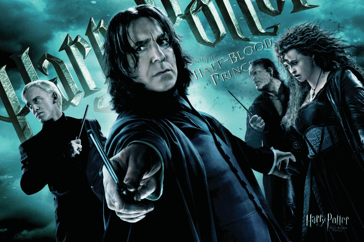 Plakát Harry Potter - Followers of Voldemort