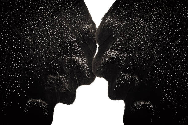 Plakát Isolate butterfly wings in black and white