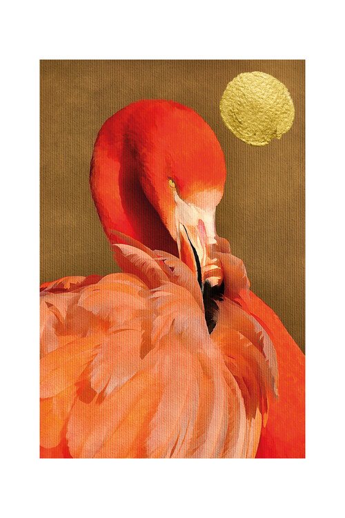 Umělecký tisk Kubistika - Flamingo