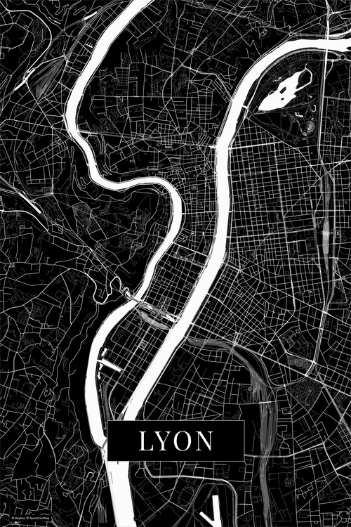 Plakát Lyon black