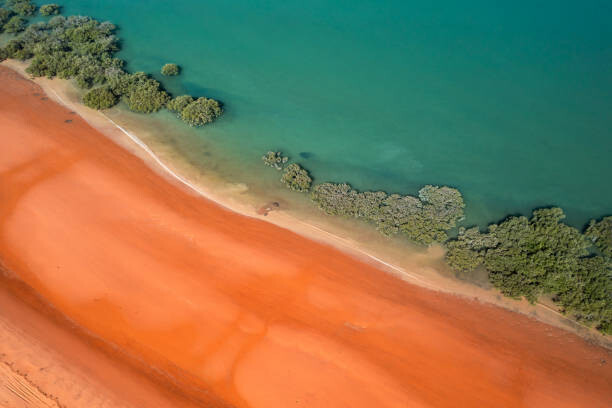 Plakát Mangrove trees running alongside Simpson Beach