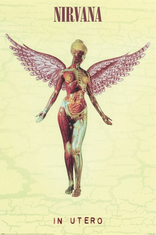 Plakát Nirvana - In Utero
