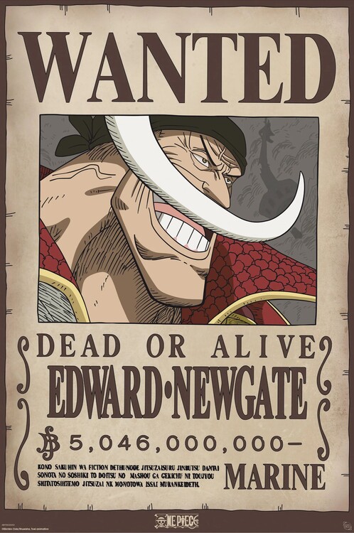 Plakát One Piece - Wanted Whitebeard
