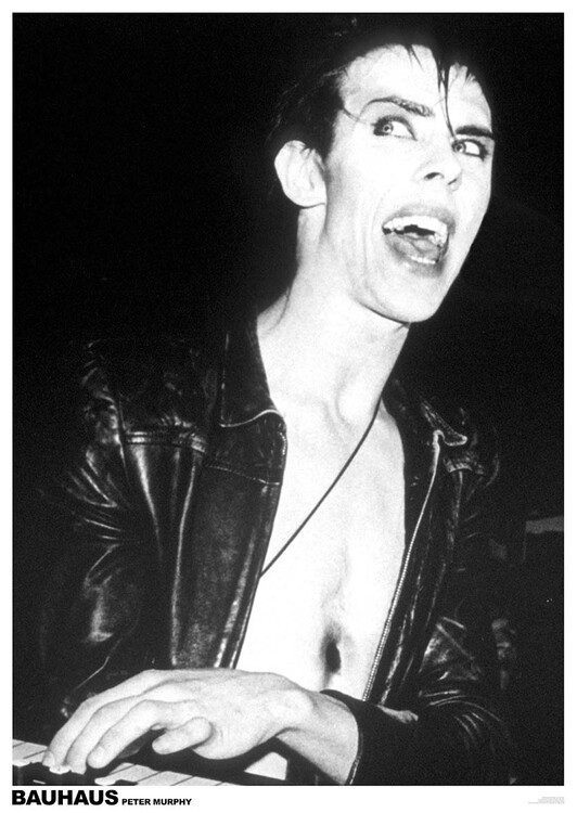 Plakát Peter Murphy of Bauhaus