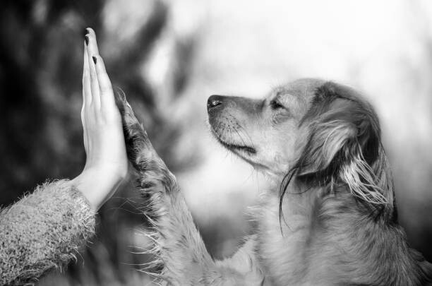 Plakát Photo by: Carmen Schwarz / 500px