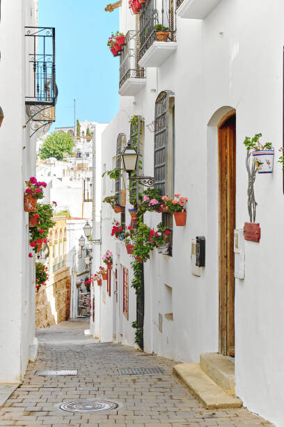 Plakát Picturesque narrow street with flowerpots in