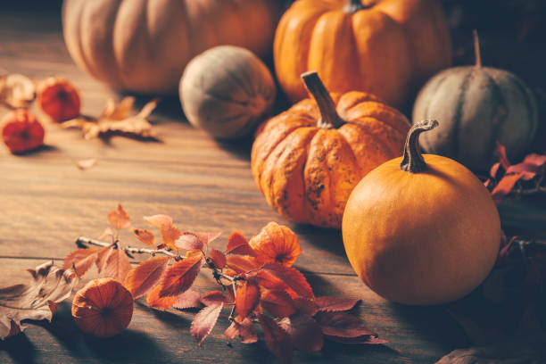 Plakát Pumpkins for Thanksgiving on wooden background