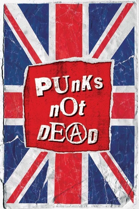 Punk not dead картинки