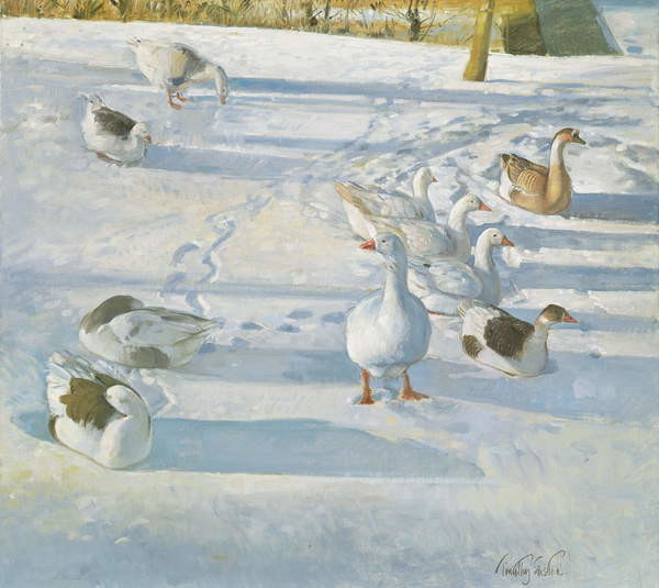 Plakát Resting on the Slope