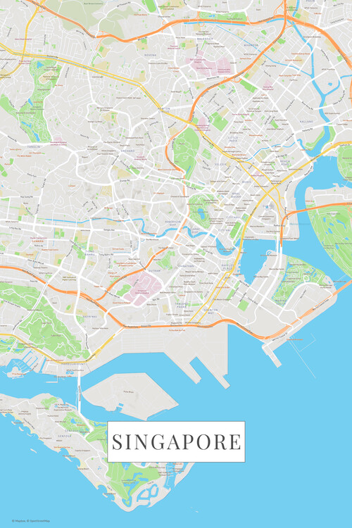 Plakát Singapur color