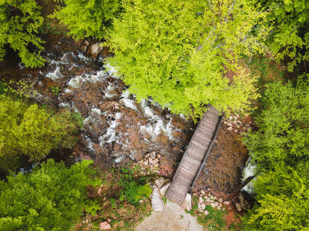 Plakát Small wooden bridge over river in