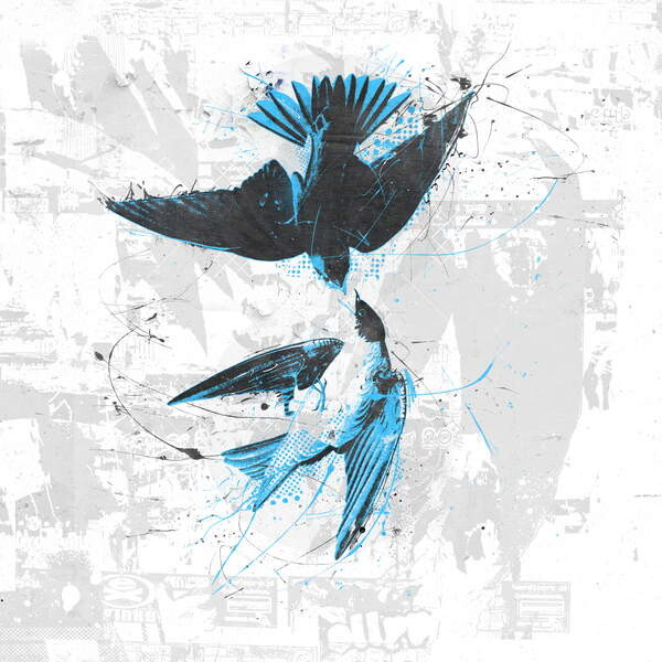 Plakát Spiraling Birds II, 2017