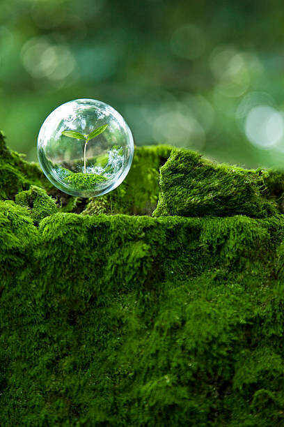 Plakát sprout inside  globe  in the air