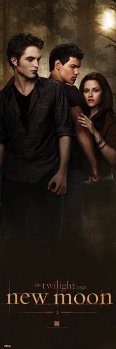 Plakát STMÍVÁNÍ NOVÝ MĚSÍC - woods