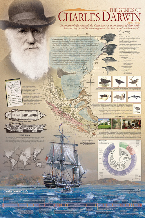 The Genius of Charles Darwin - Local Business Facebook