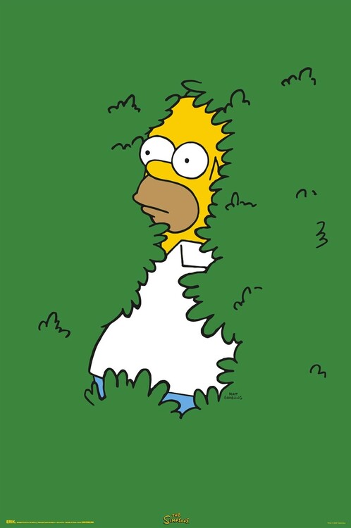 Plakát The Simpsons - Homer in the Bush
